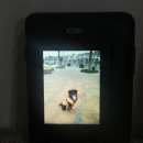 예원유치원 | [🇨🇳상상상트 3일차] OPARTMENT 체크인 / 수향마을 주가각 / 예원 / 도원향 마사지 / 헌지우이치엔