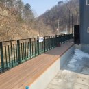 퍼피랜드 이미지