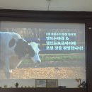 달뜨는 마을 보금자리 | 20250426 달뜨는 보금자리: 인제 꽃풀소 생추어리