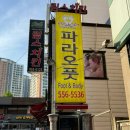 파라오풋 이미지