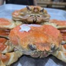 바다마을민박 이미지