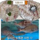 성공회수산 이미지