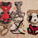 포우 파라다이스 이미지