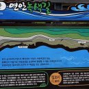 동해안연안녹색길 이미지