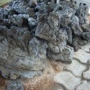 돌꽃향기 날리며 이미지