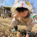 다숲어린이집 네이버블로그