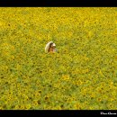 이정애농장 이미지