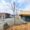 백옥대로 | 에버오토캠핑장 F존 솔캠후기 등유 파는곳 캠핑용 장갑 추천