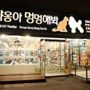 야옹아멍멍해봐 이미지
