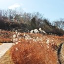 오이도선사유적공원 이미지