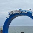 부들펜션 | 1일차 : 영진해변 - 부들파이터 - 강냉이소쿠리...아들바위공원 - 주문진등대 - 마우카마카이 - 썬리치펜션