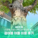 아이테크 | 용인을 걷기만 해도 돈이 쌓인다! 만보기 어플 걸어용과 신갈동 감성 산책 후기
