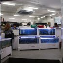 일동회직판장 이미지