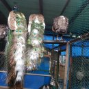 광주조류원 이미지