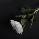 파리바게뜨 상계중앙점 이미지