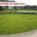 내서읍519 이미지