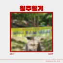 금동양꼬치 | 260511 - 260517 일주일기