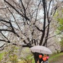 삼평어린이공원 이미지