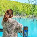 청해농장 | 삿포로 비에이투어 예약 비에이버스투어 일본북해도 여행 홋카이도