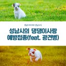 중원도촌-A-41 | 댕댕이 예방접종시간(feat. 광견병)