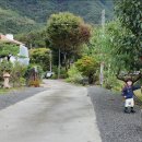 팔경하우스 이미지