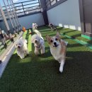 칠곡유치원 이미지