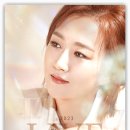 장윤정콘서트 이미지