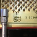 이바하음악학원 이미지