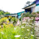 푸른고래 카라반 캠핑 이미지