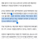 [2024 국감] “배민에 쏟아진 ‘배달수수료 인상’ 화살…쿠팡이츠는 왜 빠졌을까” 이미지