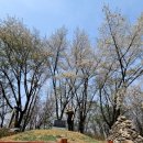 무성산성 | [경기,등산] 안성 비봉산 등산! 주차장-죽주산성-비봉산-원점 후기!