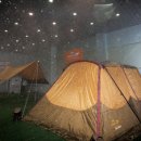 비젼코베아일산