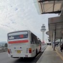 서귀포환승정류장 이미지