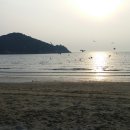 스마트약국 | 인천광역시 중구 약국명단 약국현황