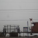 세어도어촌체험휴양마을 | 세어도(인천)