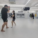 미스터샤크 수원 주짓수 킥복싱 멀티짐 | 망포동 주민들의 취미활동 엿보기