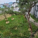 세창약국 이미지