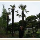 오륜농장 이미지