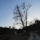 소고리마애삼존석불 이미지