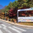 청풍리조트사우나 이미지