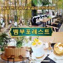 금포로 | 김포 대형 감성카페 뱀부포레스트 내돈내산 솔직후기