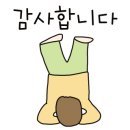 방포수산회타운