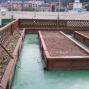 석교동주민센터 이미지