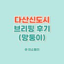 SellingAseet강남공인중개사사 | 다산신도시 김선미 부동산소장님 브리핑 후기(망둥이)