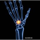 호원본튼튼의원 이미지