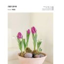 조엘르 이미지