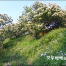 밤산농원 네이버블로그