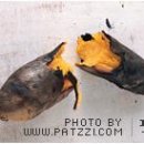 군고구마 맛나게 굽는 법 이미지