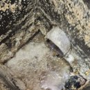 광명식당 이미지