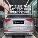 한스게러지 이미지